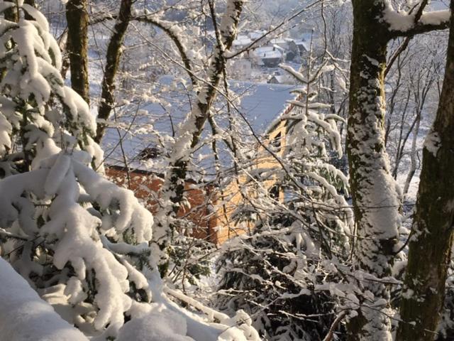 Villa Cora Venez Neuve Avec Spa Saint-Bresson Buitenkant foto