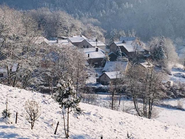Villa Cora Venez Neuve Avec Spa Saint-Bresson Buitenkant foto