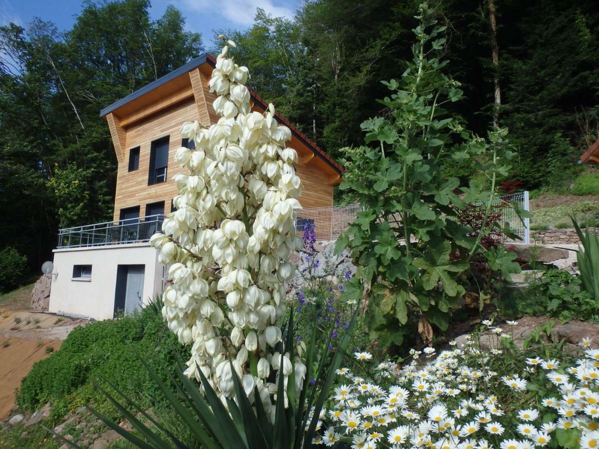 Villa Cora Venez Neuve Avec Spa Saint-Bresson Buitenkant foto