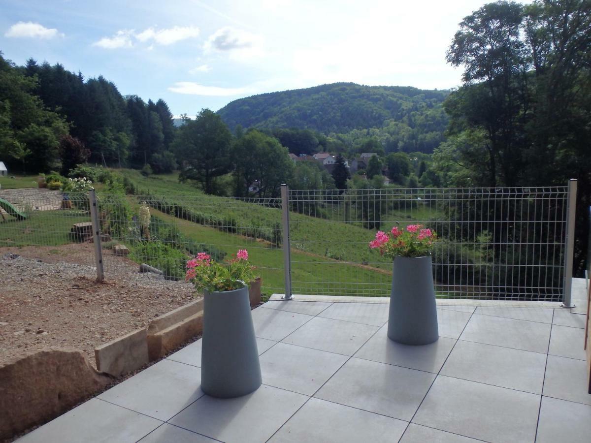 Villa Cora Venez Neuve Avec Spa Saint-Bresson Buitenkant foto
