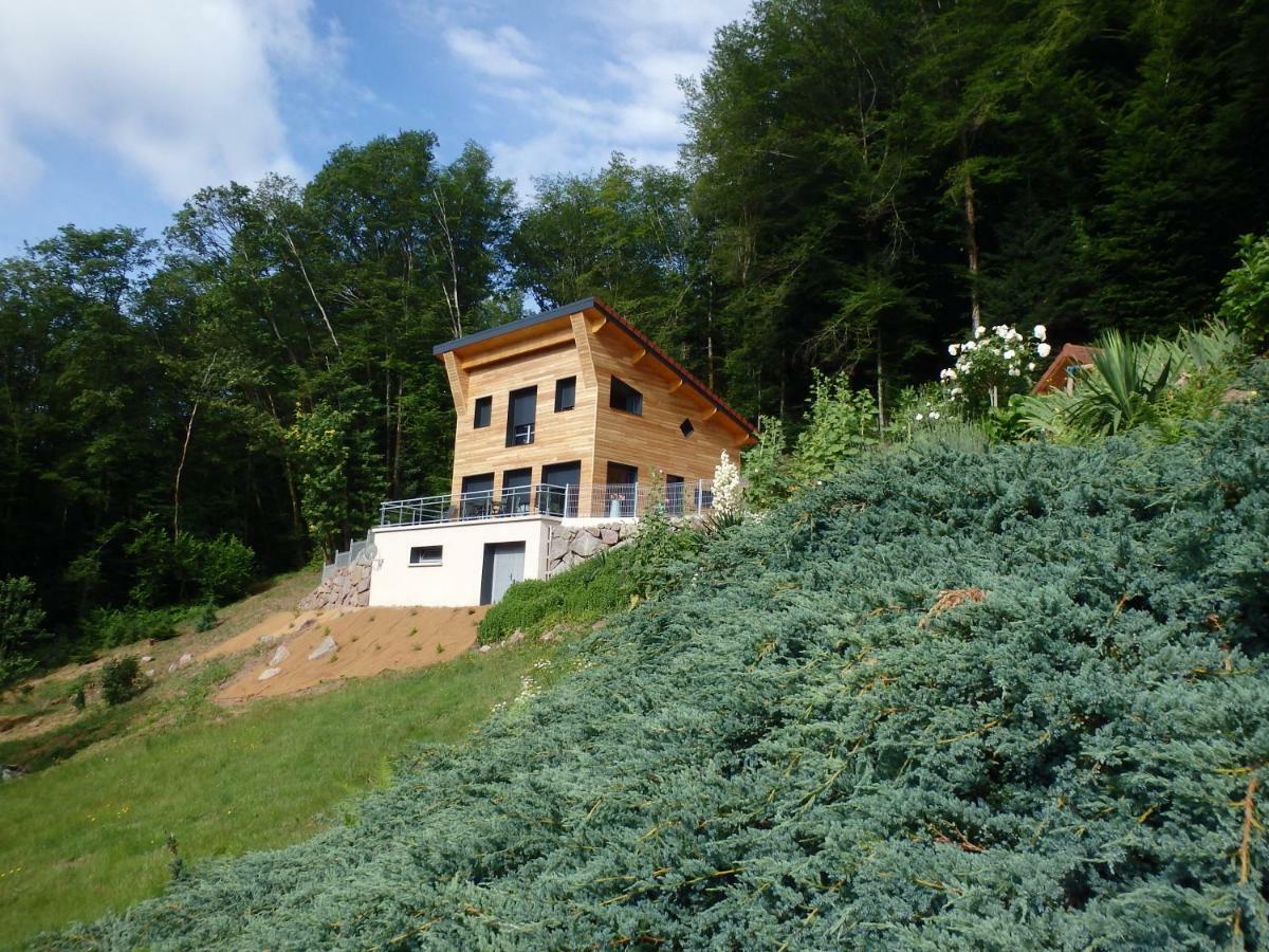 Villa Cora Venez Neuve Avec Spa Saint-Bresson Buitenkant foto