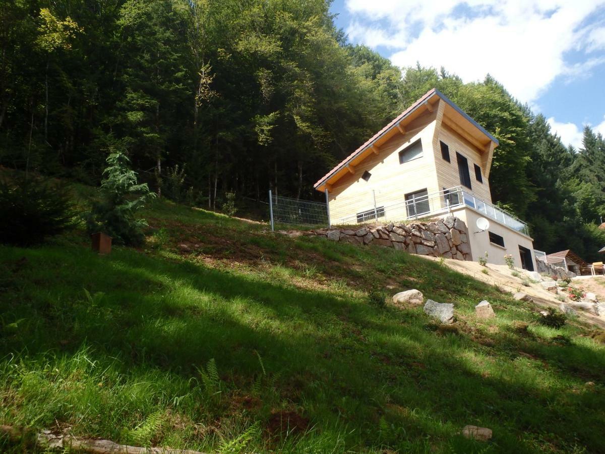Villa Cora Venez Neuve Avec Spa Saint-Bresson Buitenkant foto