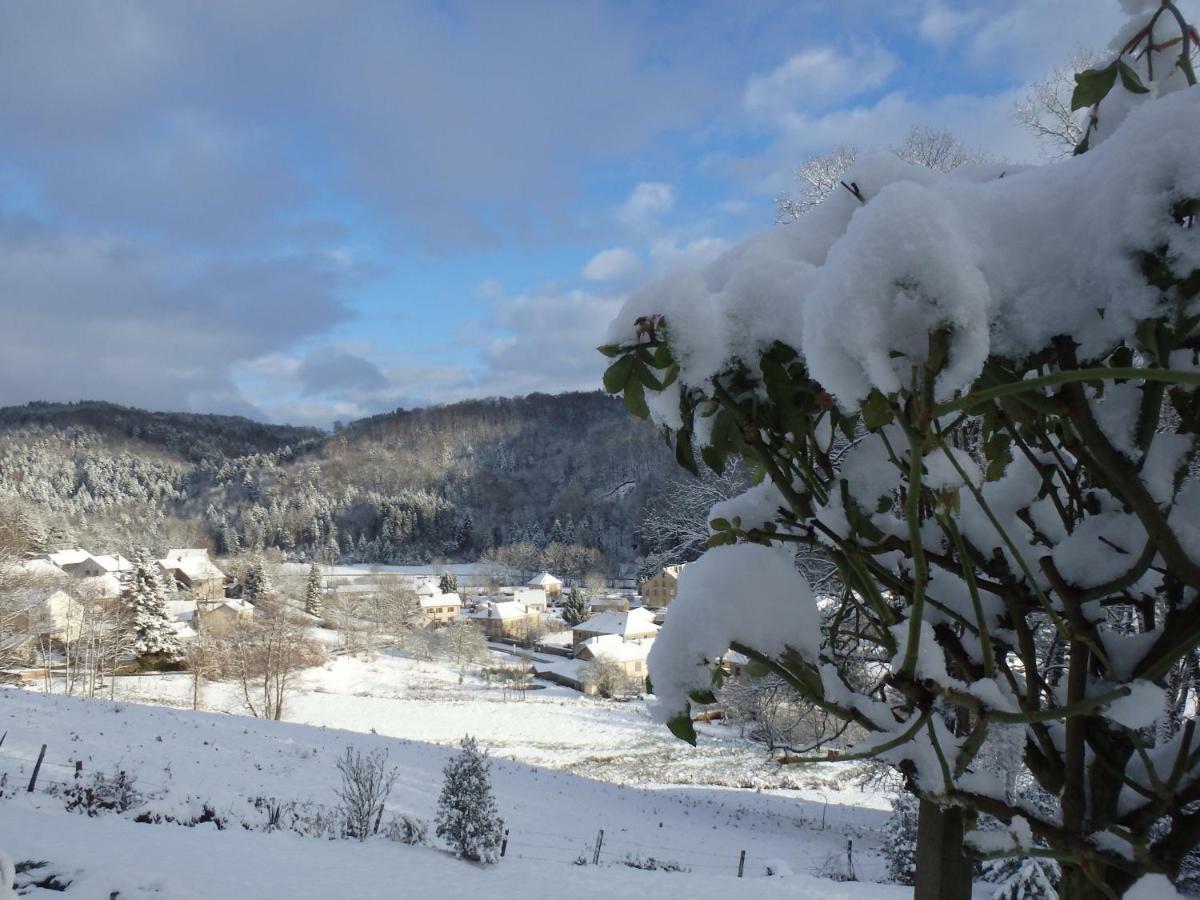 Villa Cora Venez Neuve Avec Spa Saint-Bresson Buitenkant foto
