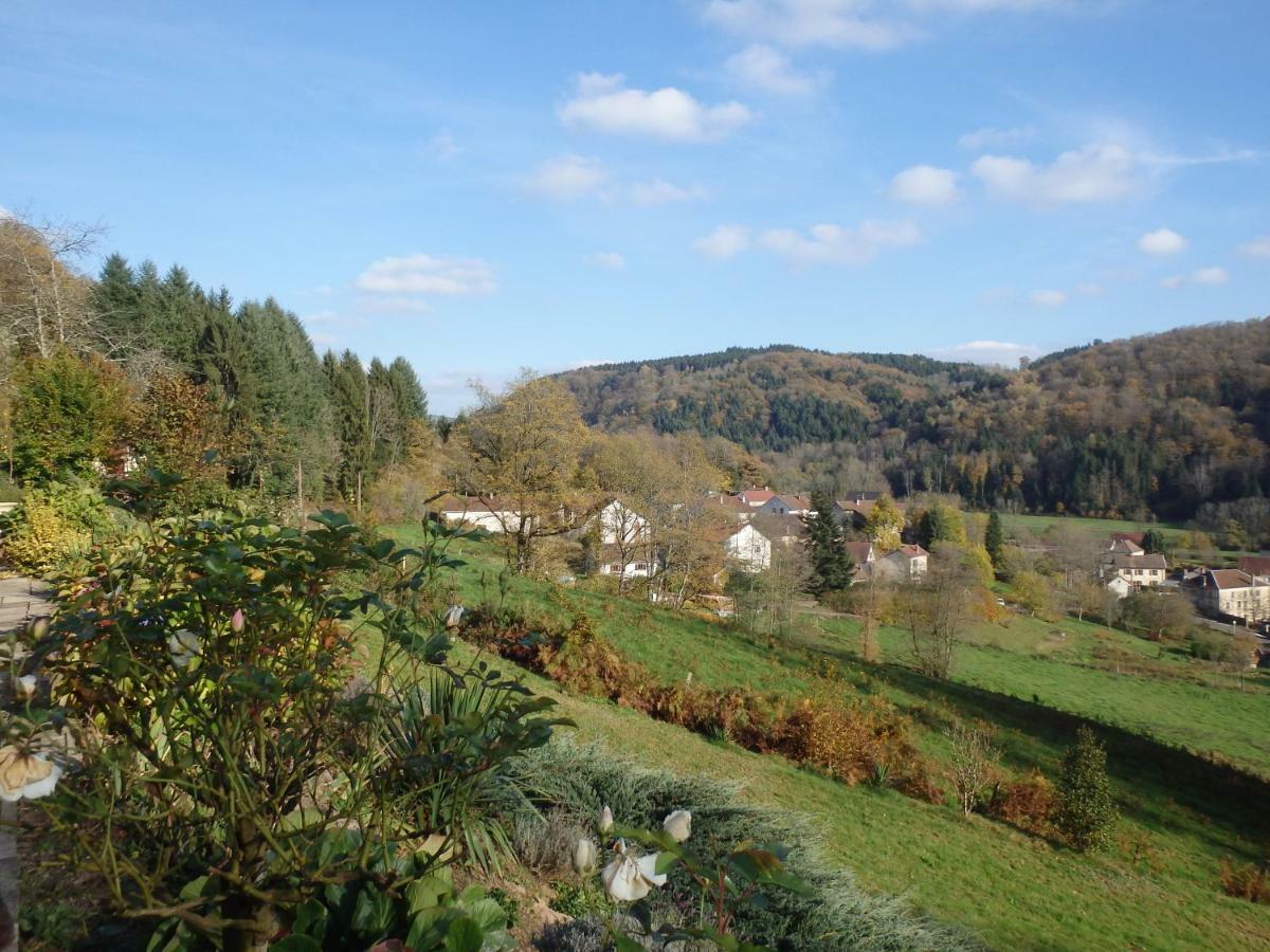 Villa Cora Venez Neuve Avec Spa Saint-Bresson Buitenkant foto