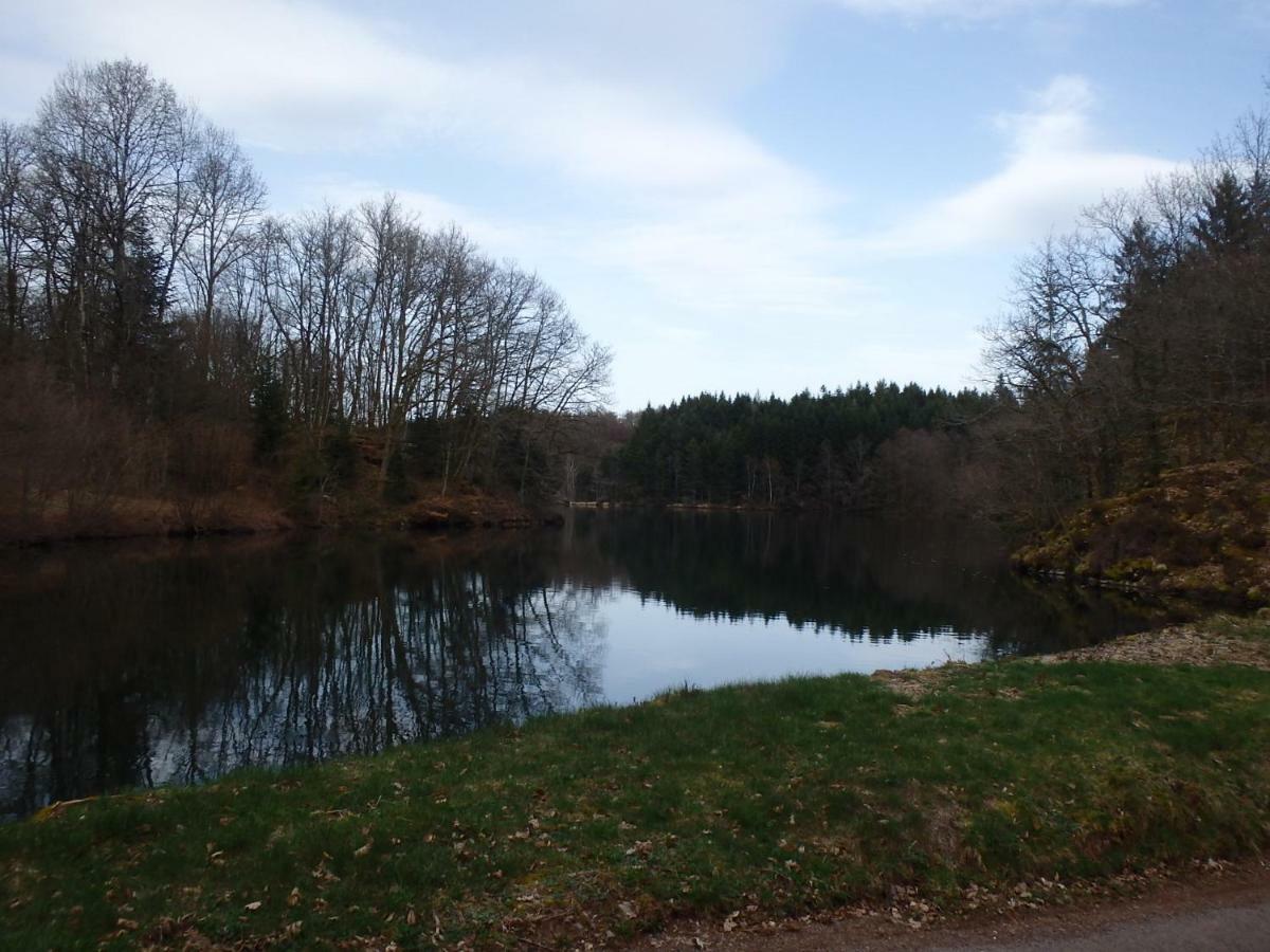 Villa Cora Venez Neuve Avec Spa Saint-Bresson Buitenkant foto